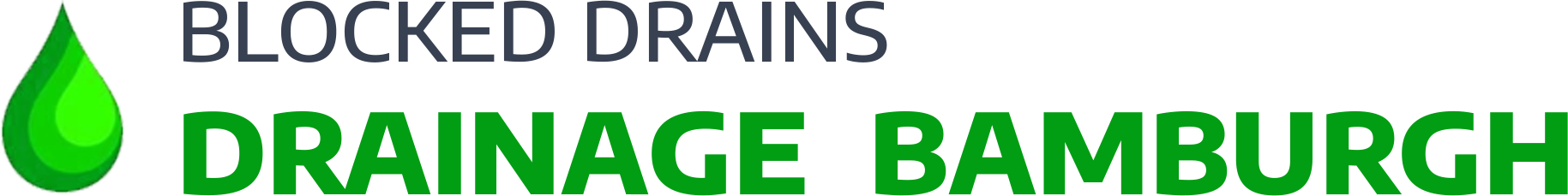 website logo